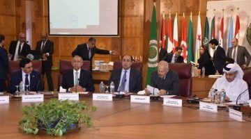 أبو الغيط يترأس أعمال الدورة 56 للجنة التنسيق العليا للعمل العربي المشترك