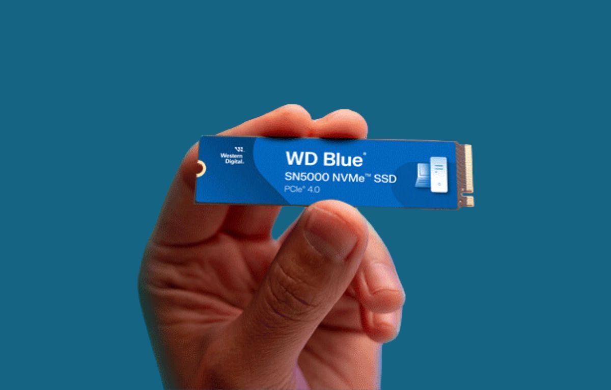 “WD Blue SN5000”: حل التخزين الأمثل للإبداع والعمل والألعاب - موقع الخليج الان