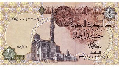 خبير مصرفي: الجنيه مرشّح للتعافي.. واستمرار السياسات المرنة مفتاح الاستقرار - الخليج الان