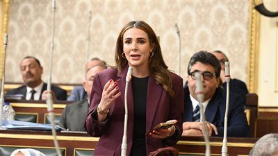 النائبة فاطمة سليم توجه أسئلة  للحكومة حول مراعاة أحداث المنطقة فى تقديرات الموازنة العامة للدولة وخطة التعامل معها - الخليج الان