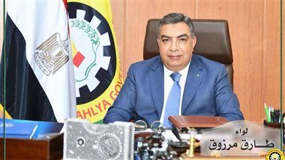 محافظ الدقهلية يتابع جهود ترشيد استهلاك الكهرباء بالمراكز والمدن والأحياء - الخليج الان