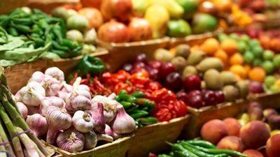 كل ما تحتاجه لتأسيس محطة تصدير الحاصلات الزراعية بنجاح - الخليج الان