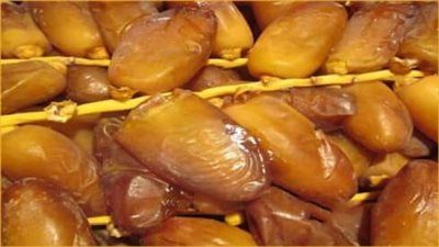 إنتاج أكثر من 1.8 مليون طن.. أسباب زيادة حجم الصادرات المصرية من التمور والصدارة العالمية - الخليج الان