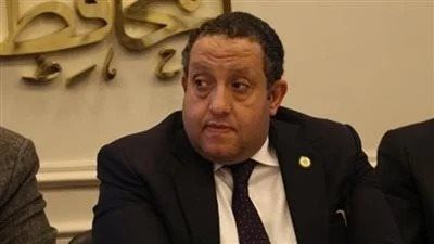 مقرر مباشرة الحقوق السياسية بالحوار الوطني: رفض مصر الفيتو الأمريكي موقف تاريخي.. والإصلاح شرط بقاء للأمم المتحدة ومجلس الأمن - الخليج الان