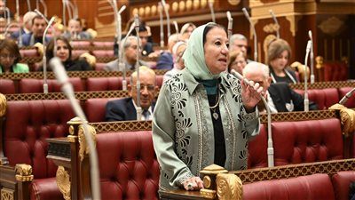 حياة خطاب: حكمة الرئيس السيسي جنّبت مصر ويلات الحروب وعززت قوة الجيش للدفاع عن الأمن القومي - الخليج الان