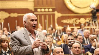 رئيس حزب التجمع: مواجهة التنمر تبدأ بالمنزل والإعلام قبل المدرسة - الخليج الان