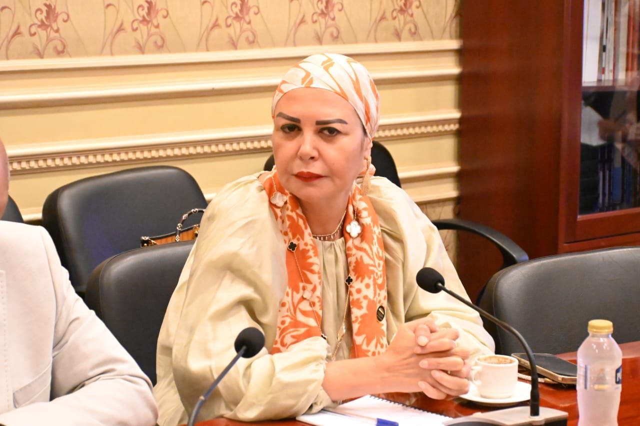 لجان البرلمان تؤكد دعمها الكامل للمجلس القومي لحقوق الإنسان كهيئة وطنية مستقلة - الخليج الان