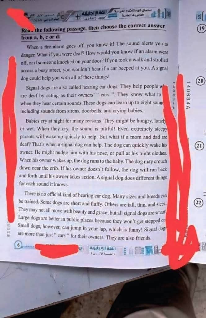 جروبات الغش تدعي تسريب امتحان اللغة الإنجليزية للثانوية العامة 2025.. والتعليم توضح - الخليج الان