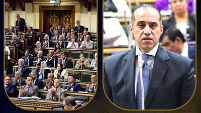 الوزير محمود فوزي: القضاء سيحسم المنازعات ومعالجة قضية الوحدات المغلقة قانونيًا - الخليج الان