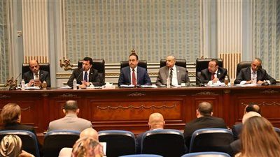 وزير الشباب أمام النواب: تعديلات قانون الرياضة لا تنص علي تطبيق بند الثماني سنوات بأثر رجعي - الخليج الان