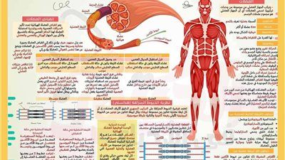 16 ورقة مش هيخرج عنهم الامتحان.. أقوى مراجعة نهائية فى الأحياء للثانوية العامة 2025 - الخليج الان