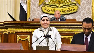 النائبة هالة أبو السعد رئيسًا للاتحاد المصري لتمويل المشروعات المتوسطة والصغيرة ومتناهية الصغر - الخليج الان