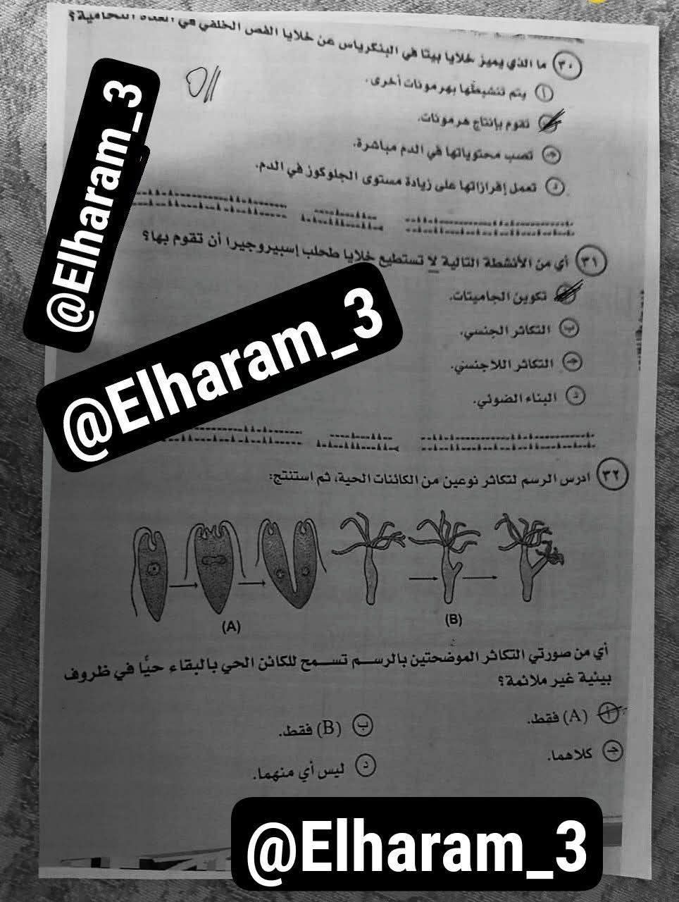 حقيقة تسريب امتحان الأحياء للثانوية العامة 2025.. التعليم توضح - الخليج الان