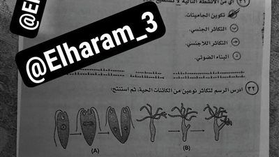 حقيقة تسريب امتحان الأحياء للثانوية العامة 2025.. التعليم توضح - الخليج الان
