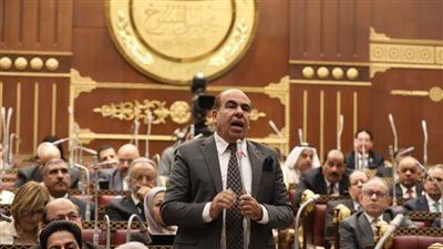 النائب ياسر الهضيبي: تعديلات قانون الرياضة نقلة نوعية لجذب الاستثمار وتعزيز الحوكمة والشفافية في المؤسسات الرياضية - الخليج الان