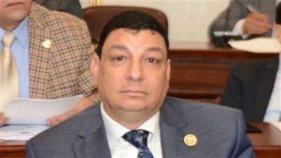 سامي نصر الله: انتخابات مجلس الشيوخ خطوة جديدة نحو ترسيخ الديمقراطية - الخليج الان