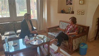 النائبة فريدة الشوباشي تطالب باختيار المرشحين على أساس الكفاءة لا العدد أو الجنس - الخليج الان