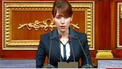 دينا عبد العزيز: العلاقات المصرية السعودية شراكة استراتيجية متينة ودعامة للأمن الإقليمي - الخليج الان