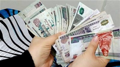 شهادات البنك الأهلي وانقاذ المدخرات .. تفاصيل الفوائد الجديدة بعد قرارات المركزي - الخليج الان
