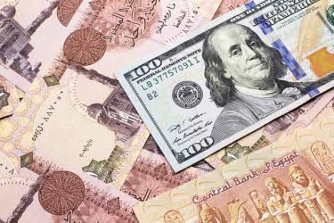 اشتري يا ست الكل.. سعر الفراخ البيضاء اليوم الإثنين 2025-7-21 تابع السعر قبل الشراء