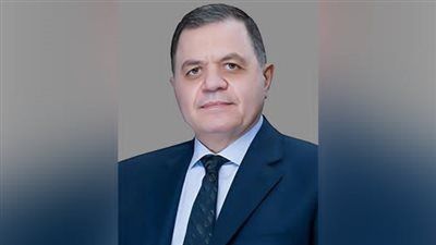 وزير الداخلية يصدر عدة قرارات بشأن الجنسية المصرية والأجنبية - الخليج الان