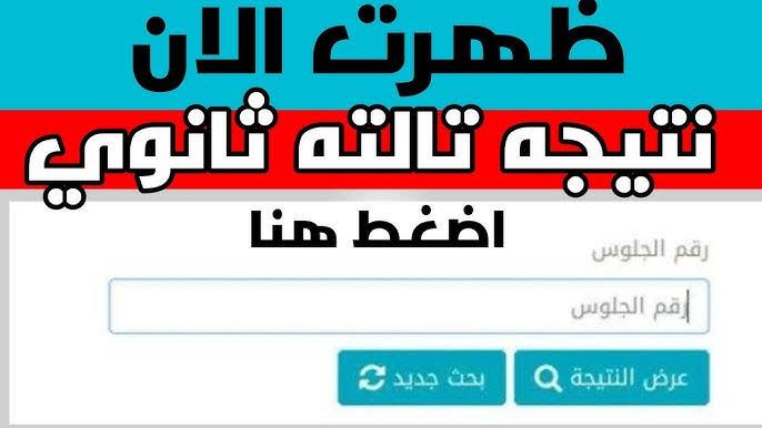 Link شغال.. استعلم نتيجة الصف الثالث الثانوي العام 2025 برقم الجلوس والاسم فقط