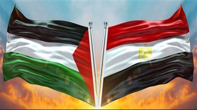حزب الوعي لتحيا مصر: دعوات الإخوان التجمهر أمام السفارات المصرية بالخارج تشويه لموقف مصر تجاه القضية الفلسطينية - الخليج الان