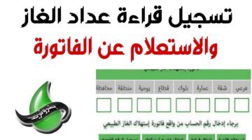 بسرعة يلا .. تسجيل قراءة الغاز لشهر يوليو على بتروتريد 2025 مفيش كلام