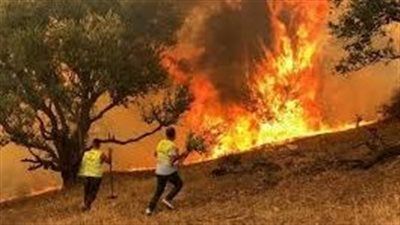 لا تتركها للقدر كيف تحمي نفسك ومحيطك من حرائق الصيف - الخليج الان