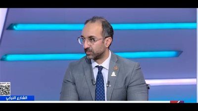الحمامصي: اشتراط 35 عامًا للترشح للشيوخ يعكس توجه الدولة لتمكين الشباب سياسيًا - الخليج الان