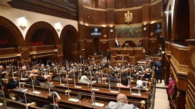 بدأ اليوم..غرامة 100 ألف جنيه عقوبة اختراق الصمت الانتخابي لمرشحي مجلس الشيوخ - الخليج الان