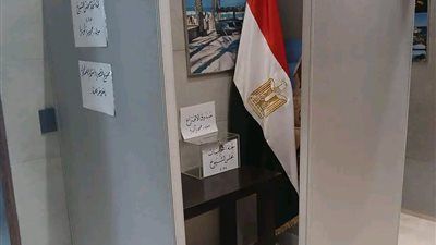 فتح باب الاقتراع للمصريين في إندونيسيا ولاوس وفيتنام وتايلاند للتصويت في انتخابات مجلس الشيوخ لليوم الثاني - الخليج الان