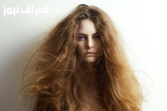 خلى شعرك يتنفس من تاني … خلطة طبيعية لها تأثير قوي في علاج التلف والهيشان