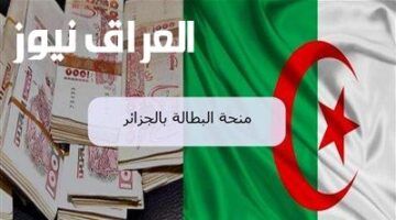 تحديث فوري..تجديد منحة البطالة الجزائر 2025 خطوات المنصة الرسمية