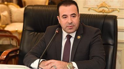 النائب أحمد بدوي: جاري اتخاذ الإجراءات القانونية ضد 11 "بلوجر" جديد خلال ساعات - الخليج الان