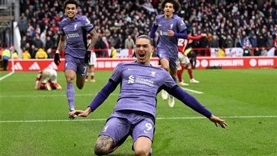 بعد موافقة ليفربول.. الهلال السعودي يقترب من ضم داروين نونيز مقابل 65 مليون يورو - الخليج الان