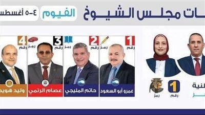 فوز قائمة ومرشحي التحالف بالفيوم فى انتخابات الشيوخ - الخليج الان
