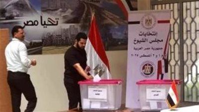 الهيئة الوطنية للانتخابات: حق الطعن على نتائج انتخابات الشيوخ يبدأ من اليوم الأربعاء أمام اللجان العامة - الخليج الان