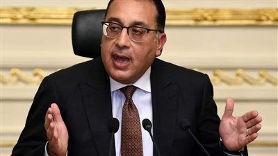 رئيس انتخابات مجلس الشيوخ شهدت إقبالا كبيرا - الخليج الان