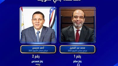حزبا مستقبل وطن والجبهة الوطنية يحصلان على الـ 50%+1 للمقاعد الثلاثة فردى ببنى سويف بانتخابات الشيوخ - الخليج الان