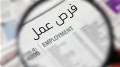 12 ألف درهم.. فرص عمل جديدة بالإمارات برعاية وزارة العمل المصرية - الخليج الان