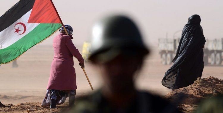تعرف علي الانتهاكات ضد الناشطين الصحراويين