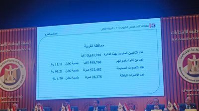 إعادة مقعد.. تليجراف الخليج ينشر أسماء الفائزين في انتخابات مجلس الشيوخ 2025 بمحافظة الغربية بالنظام الفردي - الخليج الان