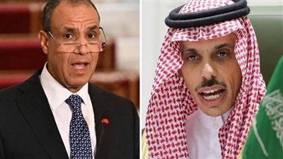 وزيرا خارجية مصر والسعودية يؤكدان على رفضهما لخطة إسرائيل احتلال كامل قطاع غزة - الخليج الان