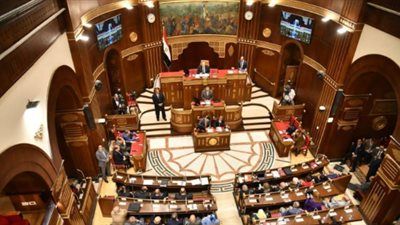 برلماني: التحركات الدبلوماسية المصرية جدار صد ضد أوهام "إسرائيل الكبرى" - الخليج الان