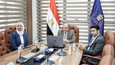 رئيس هيئة الدواء يبحث مع سفيرة مصر لدى الكاميرون سبل تعزيز التعاون الدوائي - الخليج الان