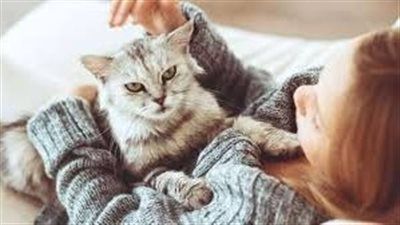 حلم القطة..متى يكون طاقة إيجابية ومتى يتحول لنذير خطر؟ - الخليج الان
