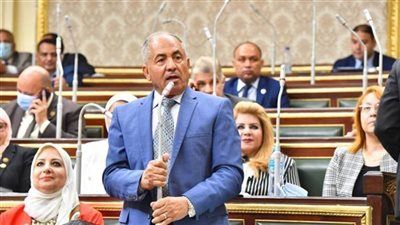 النائب الأول لرئيس حزب حماة الوطن يكشف استعدادات الحزب للانتخابات البرلمانية 2025 - الخليج الان