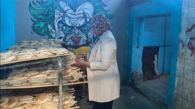 ضبط مخالفات تموينية متنوعة بالإسماعيلية خلال حملات مكثفة - الخليج الان