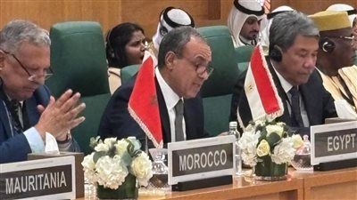 وزير الخارجية: نرفض أوهام ما يسمي إسرائيل الكبرى ولن نقبل بها أو نسمح بتنفيذها - الخليج الان